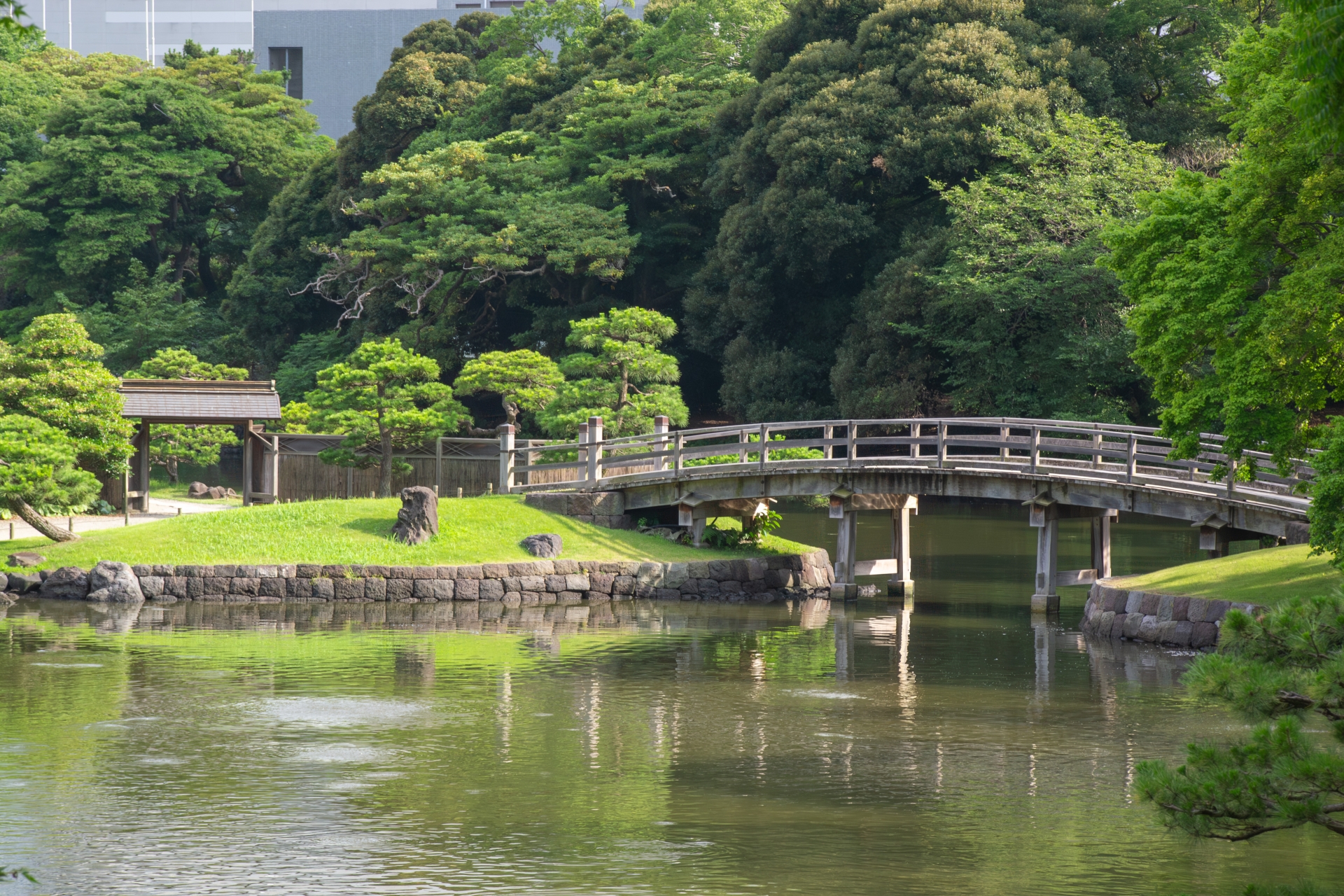 浜離宮恩賜庭園の画像